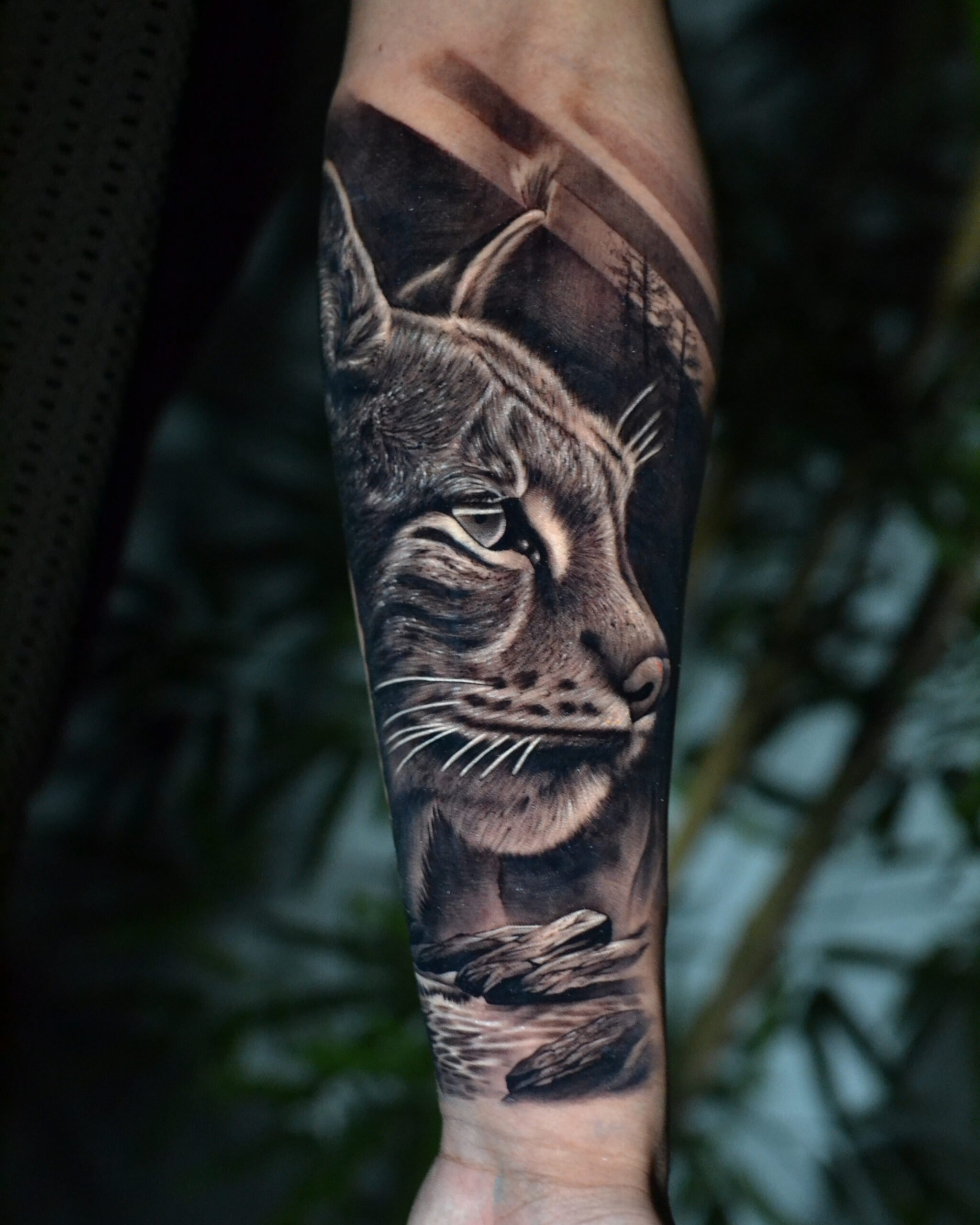 Tatuaje realista de lince en el antebrazo. Tatuaje realista de un lince en el antebrazo.