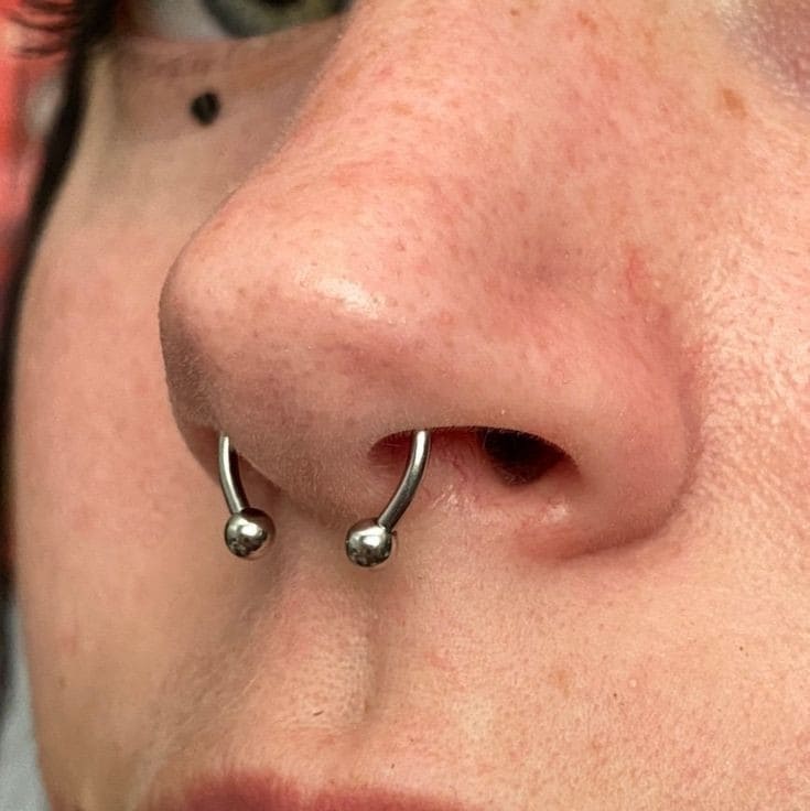 SEPTUM