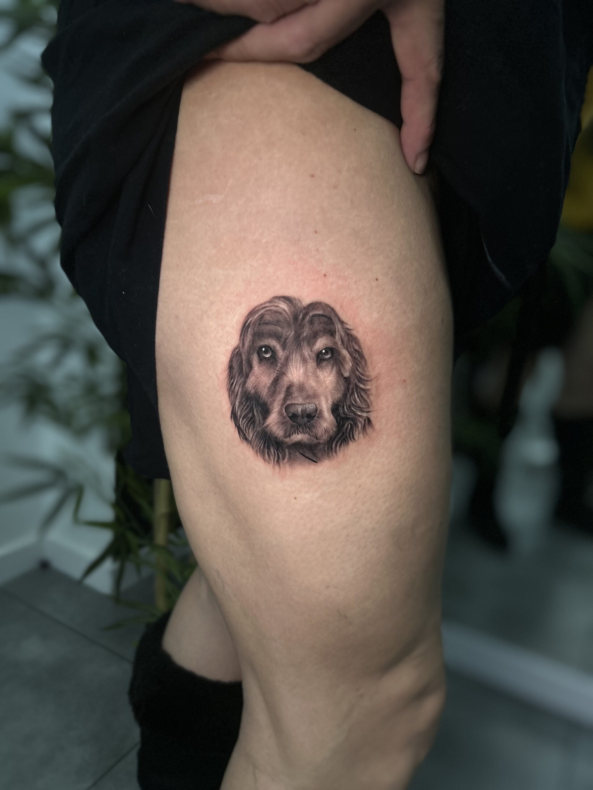 Retrato de perro en estilo realista con sombreado en muslo.