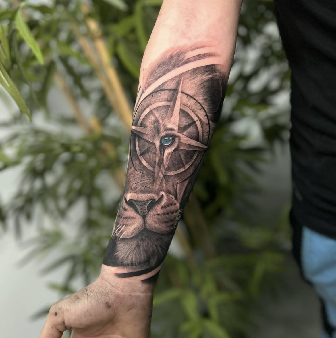 Tatuaje de un león realista con brújula en estilo black and grey en el antebrazo, transmitiendo fuerza y orientación.