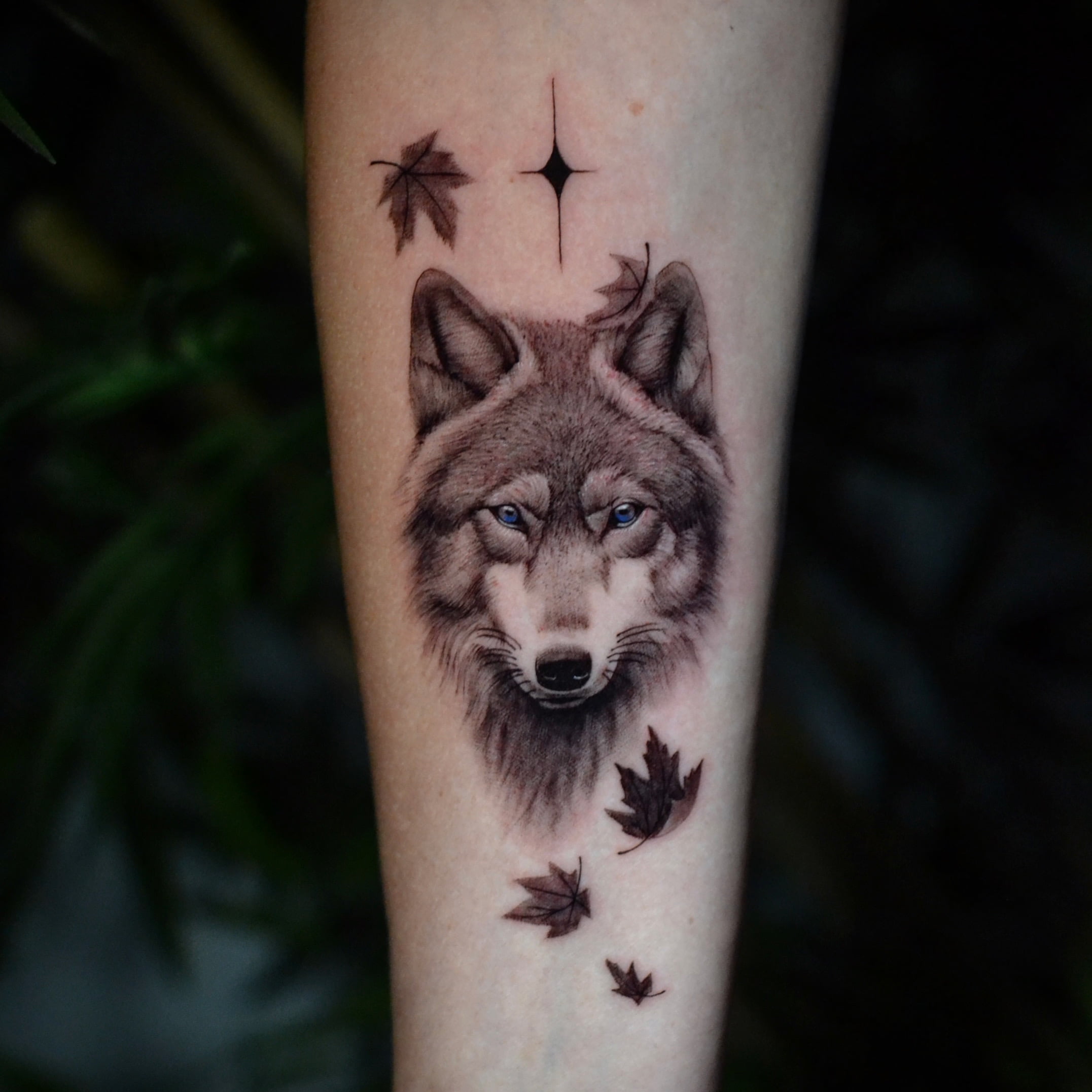 Tatuaje de un lobo realista en el antebrazo con hojas y estrella, estilo black and grey.