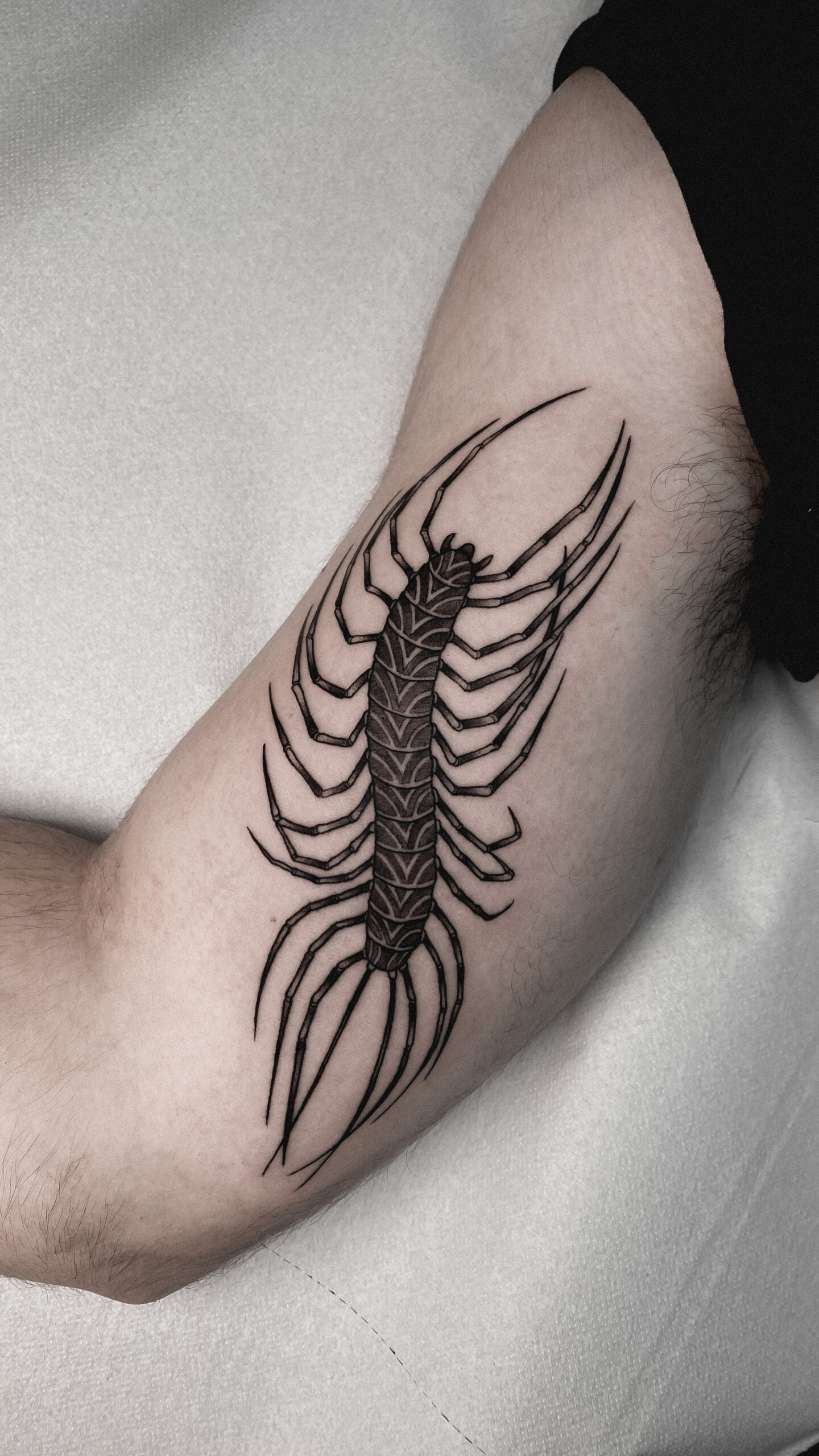 Tatuaje de ciempiés en estilo blackwork con líneas definidas en el brazo.