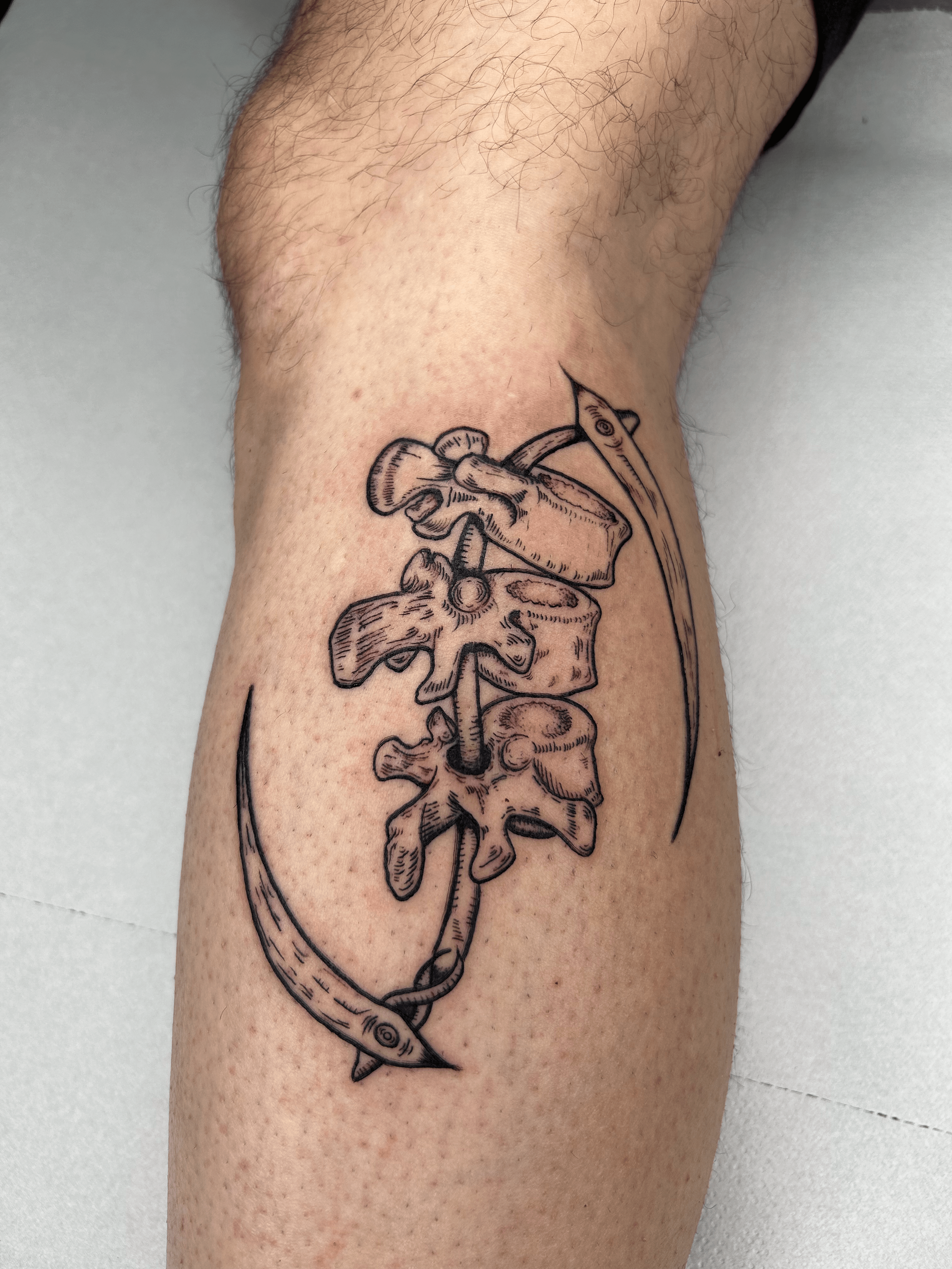 Tatuaje de vértebras y piel en estilo blackwork en la pantorrilla.