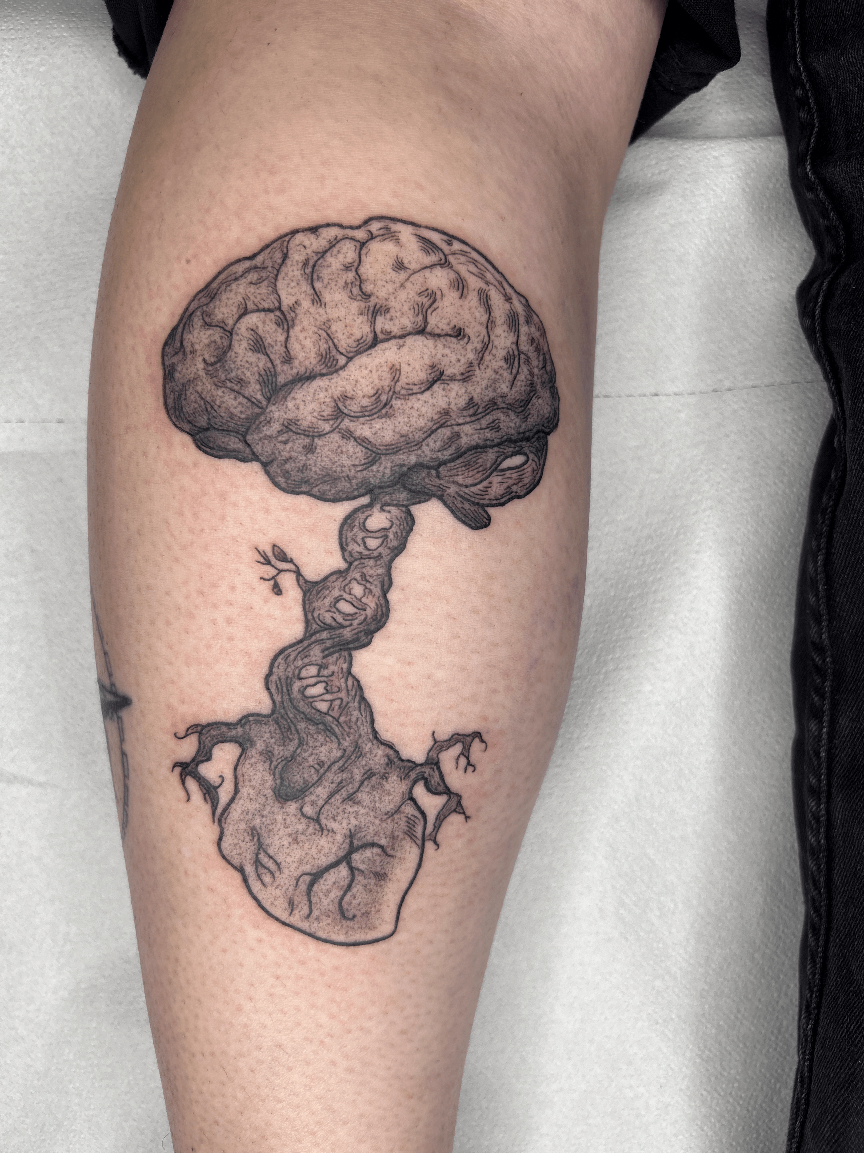 Tatuaje de un corazón y un cerebro en estilo blackwork en el brazo, transmitiendo conexión entre emoción y mente.