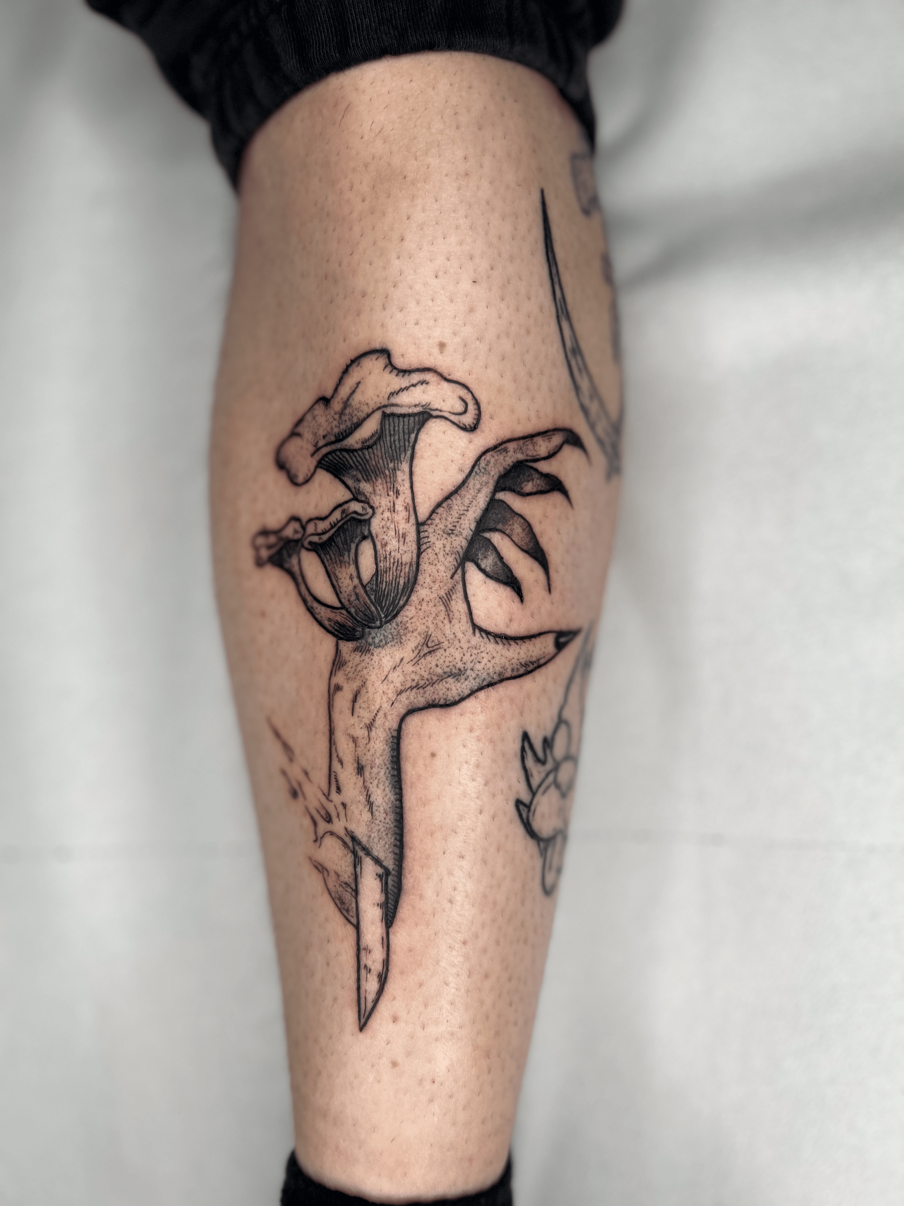Tatuaje de hongo con técnica fineline en estilo blackwork ubicado en la pierna, transmitiendo una sensación de misterio natural.