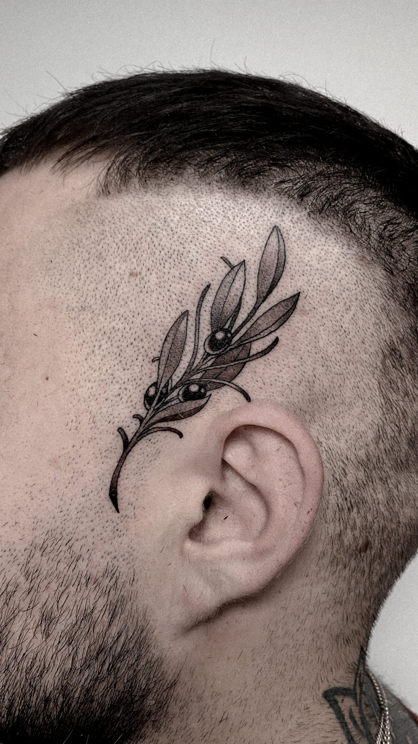Tatuaje blackwork de una rama de olivo en la sien.