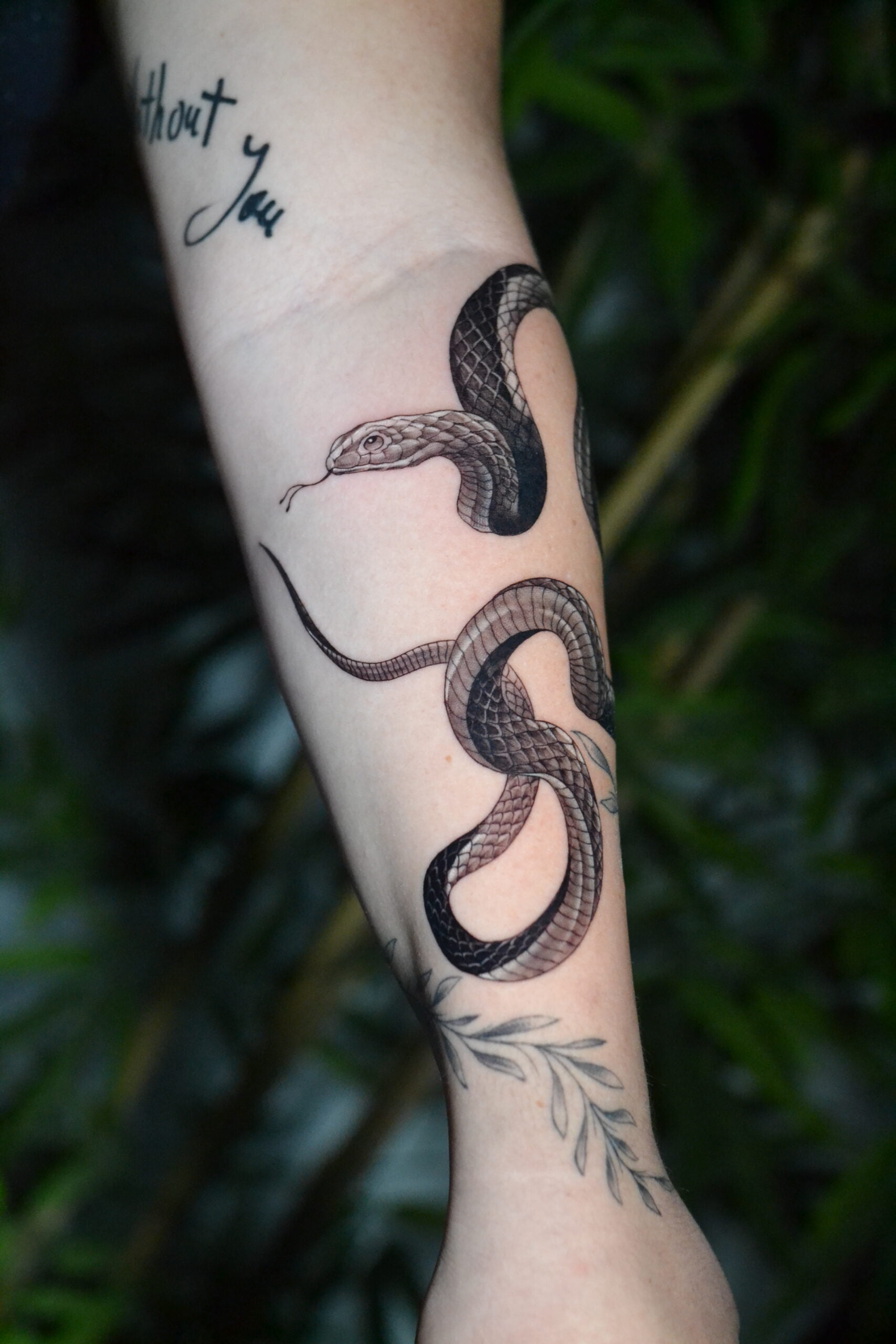 Tatuaje de serpiente en estilo realista con detallado sombreado en el antebrazo.