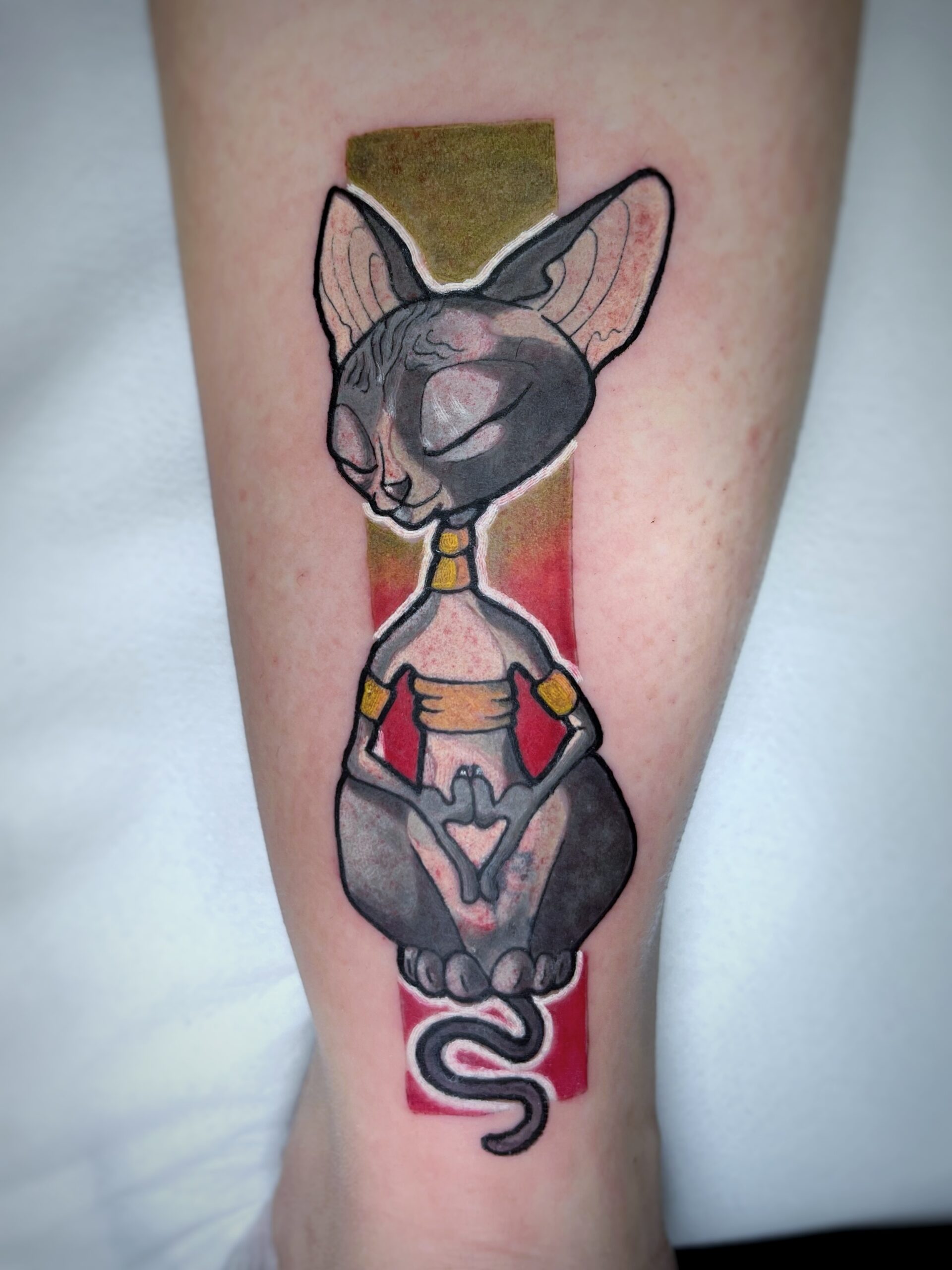 Tatuaje de un gato esfinge en estilo neotradicional con colores vivos en el brazo, transmitiendo serenidad.