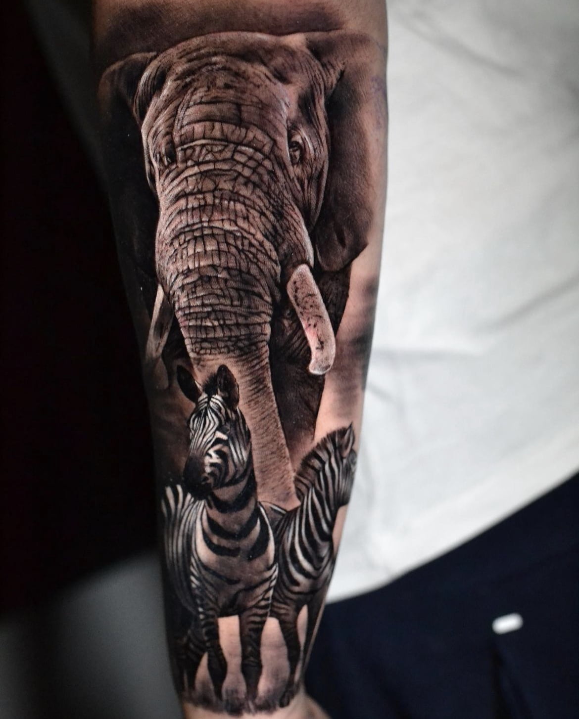 Tatuaje de un elefante con dos cebras en el antebrazo