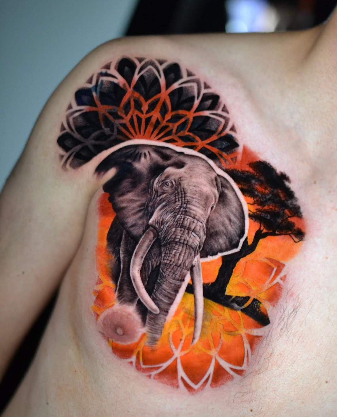 Tatuaje realista de un elefante en el pecho con fondo anaranjado