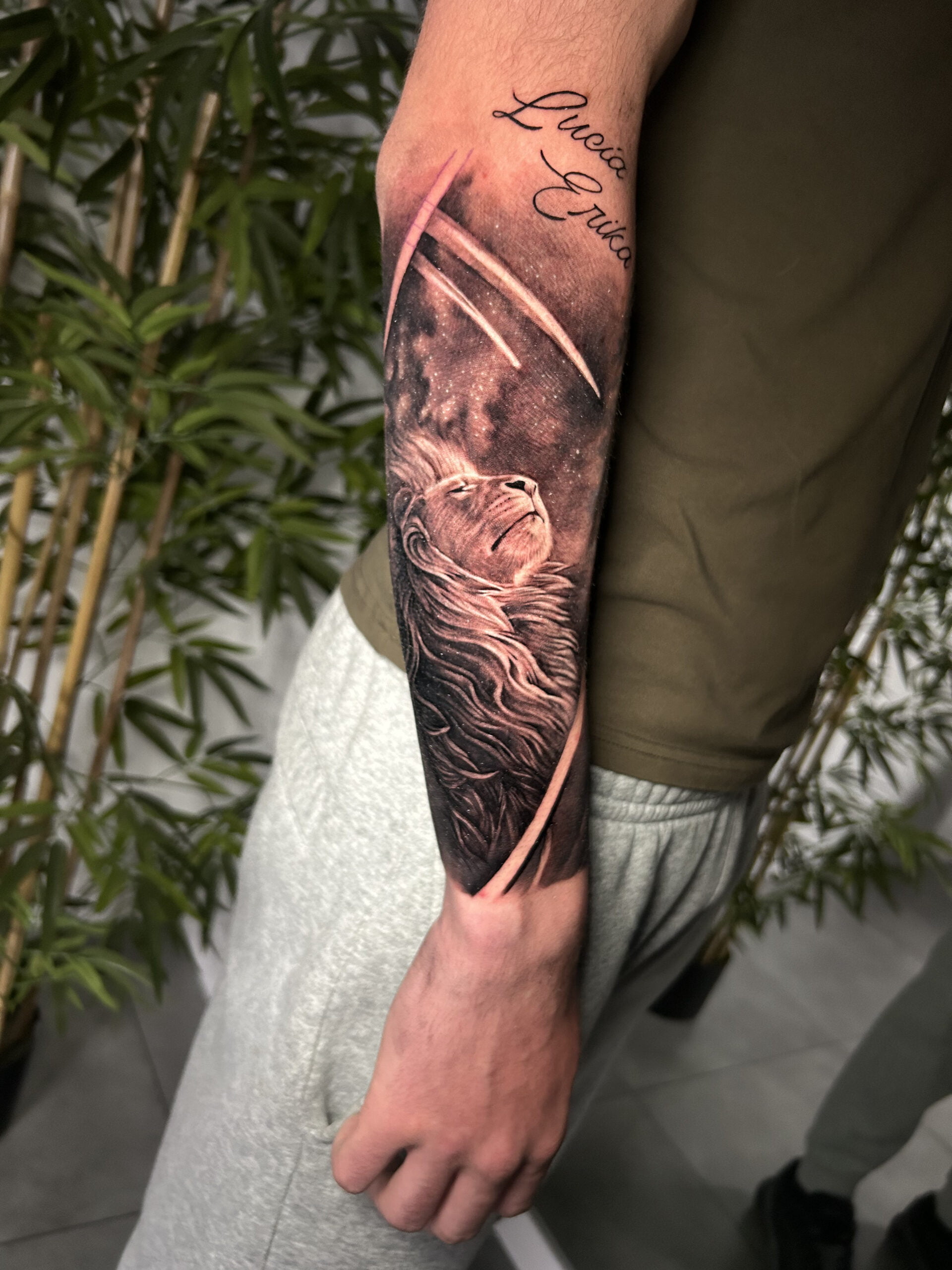 Tatuaje realista de un león mirando el cielo en el antebrazo.
